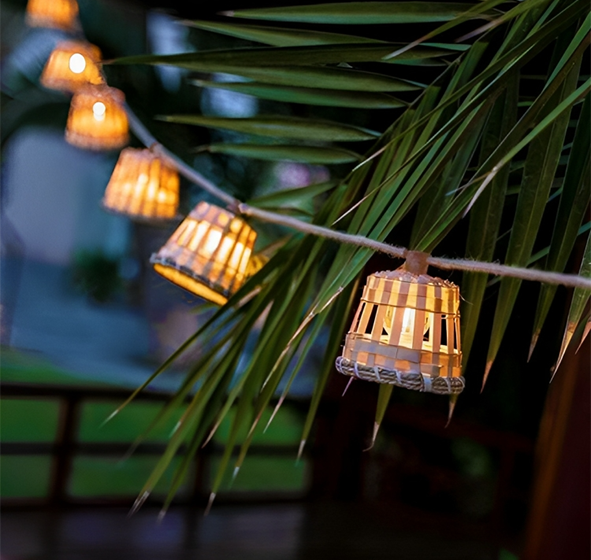  Light up your Outdoors Sustainably with Suncoast