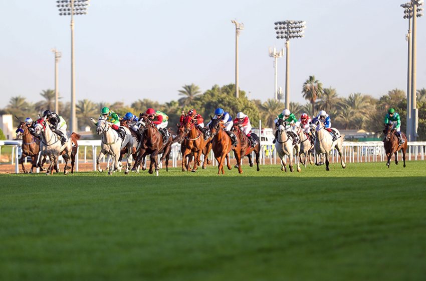  Under the directives of HH Sheikh Mansour bin Zayed.. The prize pool for The UAE President’s Cup for Purebred Arabian Horses has been increased to AED 4.5 million