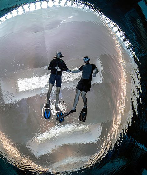  إستكشف ديب دايف دبي في أبريل مع عرض ” اصطحب صديقاً “